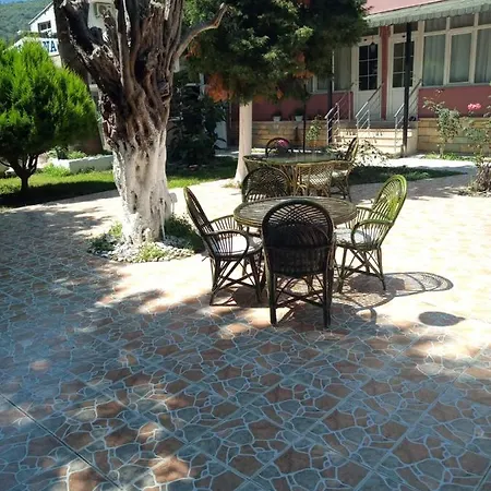 Selina Hotel