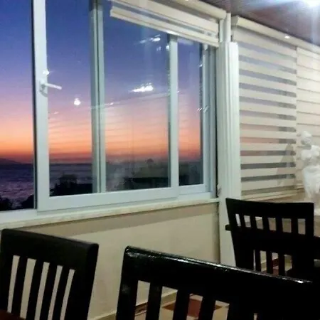 Selina グゼルカミル