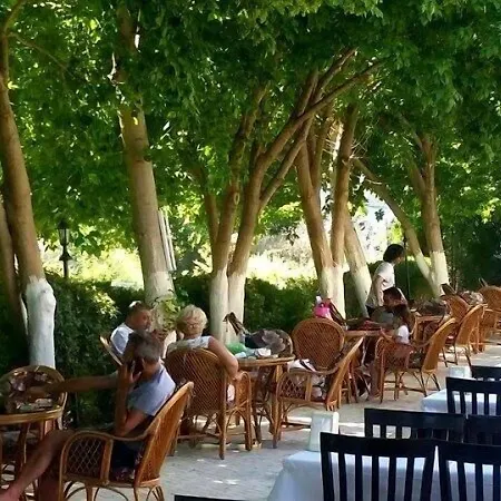 Selina グゼルカミル