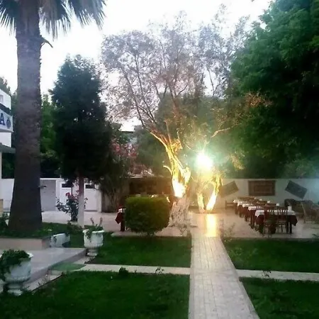 Selina グゼルカミル