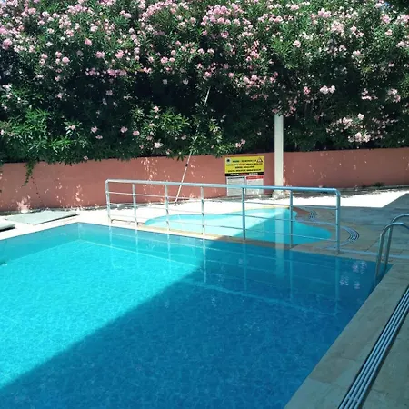 Selina グゼルカミル